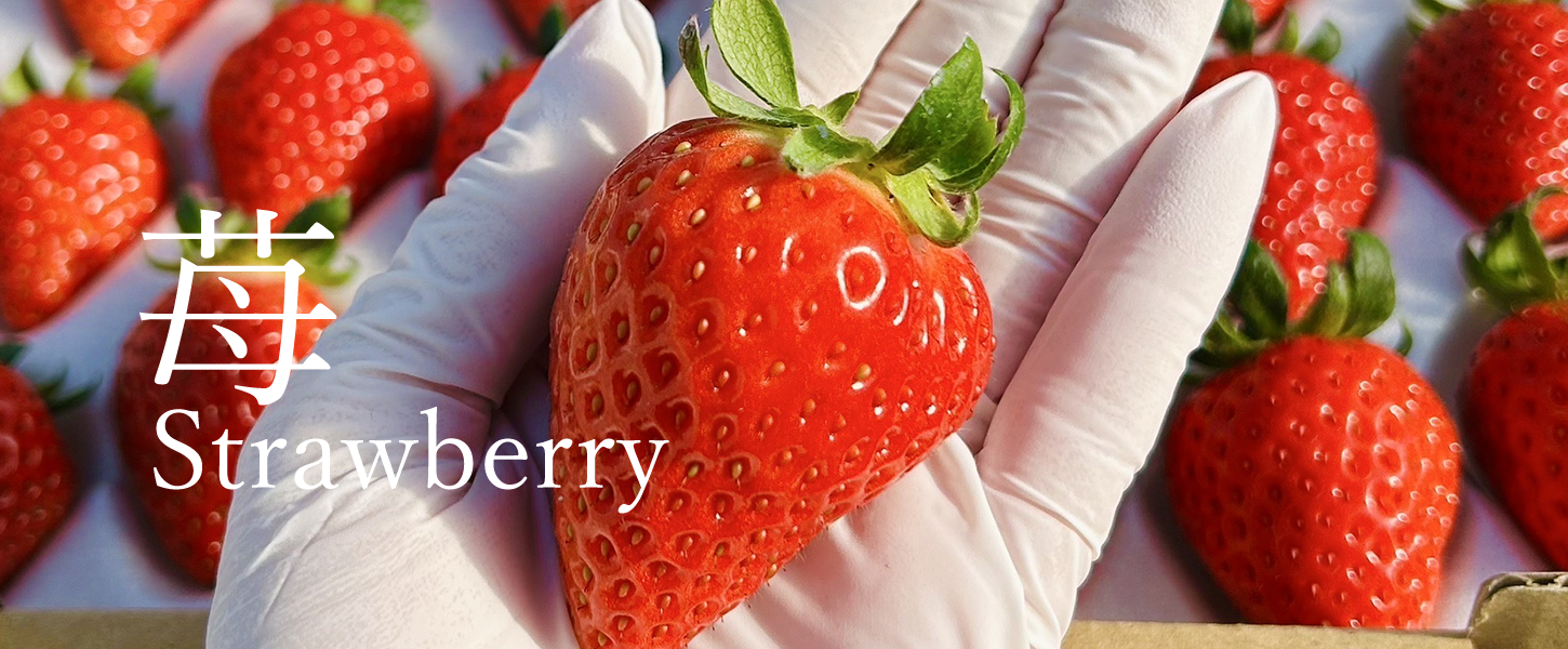 いちご「よつぼし」