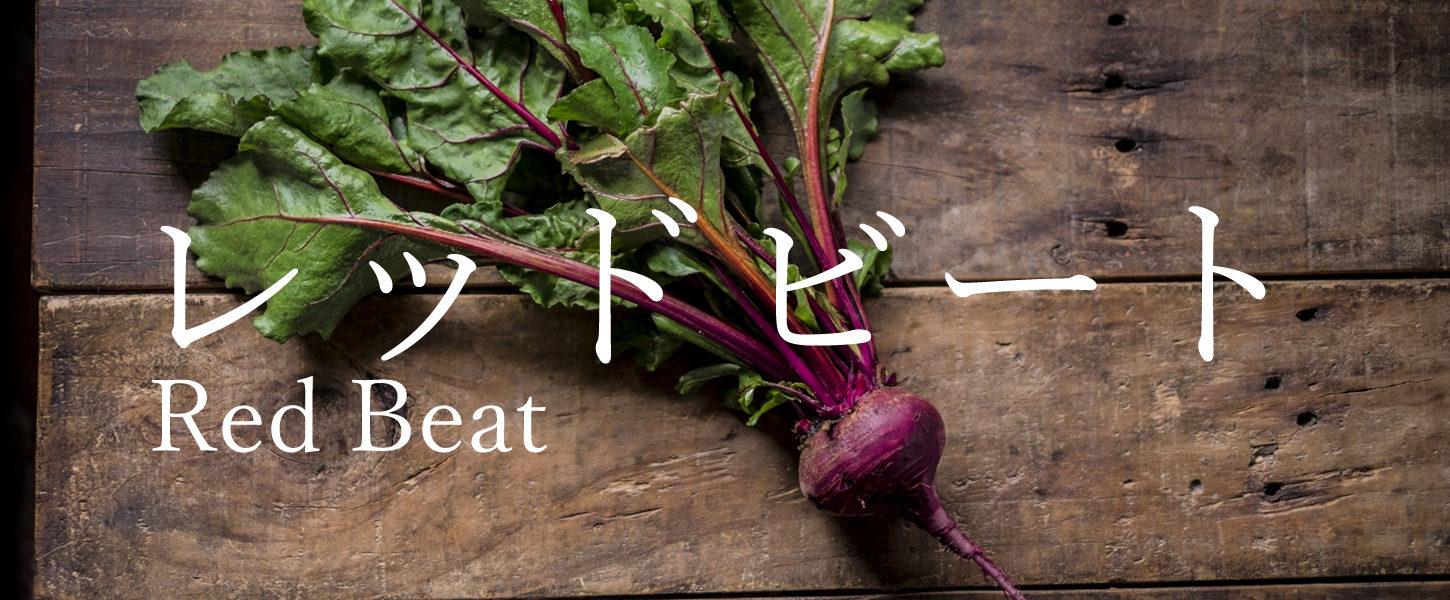 レッドビート(ビーツ) Red Beat