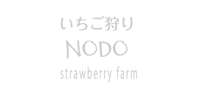 いちご狩り NODO strawberry farm 北海道 江別